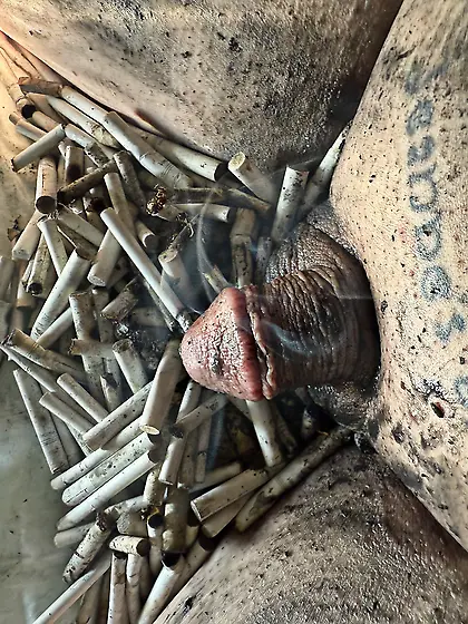 Sissy’s weekly ashtray- sissy couldn’t cum!