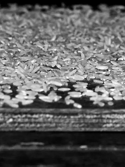 Bimbos adorable ensembles full