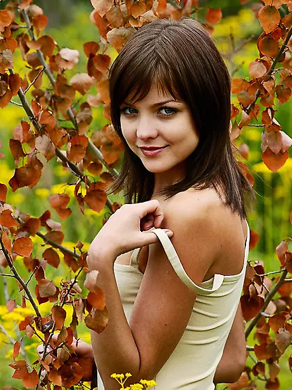 The Most Beautiful Flower