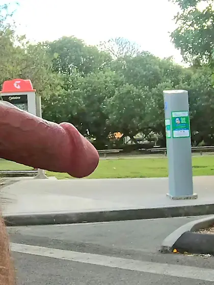 WNBR Byron Bay erection public exhibitionist cock