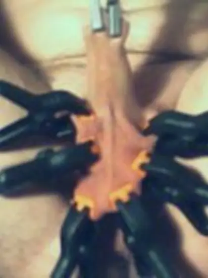 tiny dick torture homework