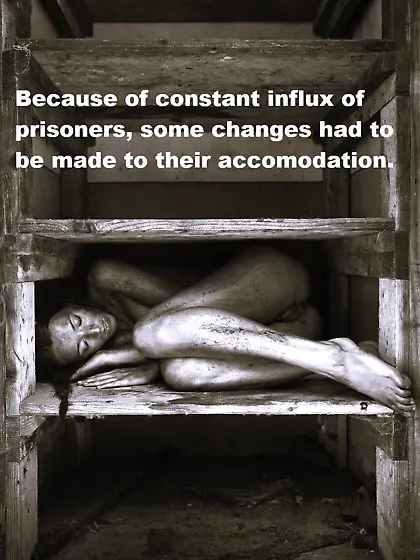 bitches of the labor camp