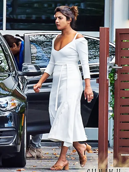 Priyanka Chopra Erotic