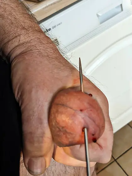 large skewers in testicles