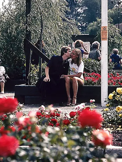 Gorgeous chicks wearing sexy