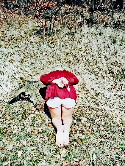 Execution in the forest