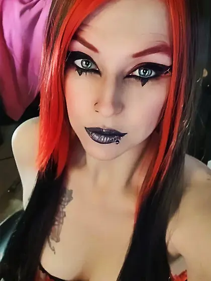 Little Kitten Free Photos