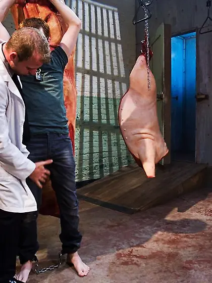 Horny butcher fucks tied