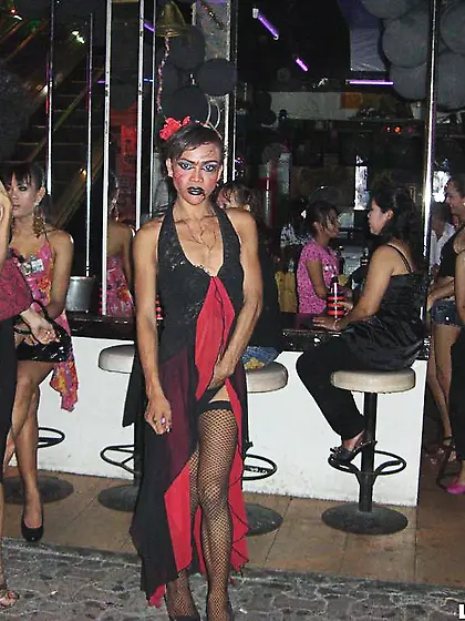 Ladyboy Girlfriends Everywhere