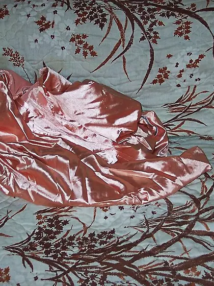 Cougar Moon Aynjl from United States Camper...