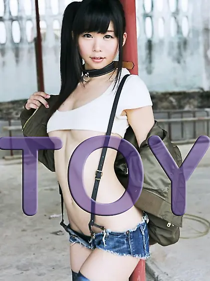 Toy