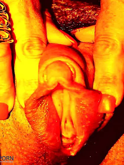 Xoxotas Maranhenses em Close