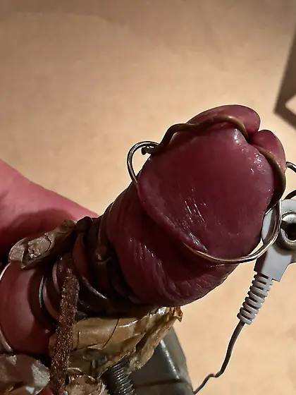 Estim,  foreskin stretched back,  glans cbt