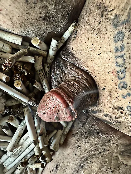 Sissy’s weekly ashtray play,  sissy can’t get i