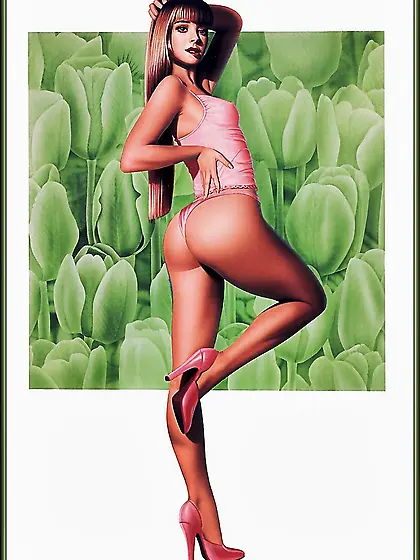 PinUp und Zeichnungen