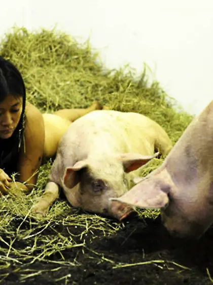 Darkest's hucow slaves part 2