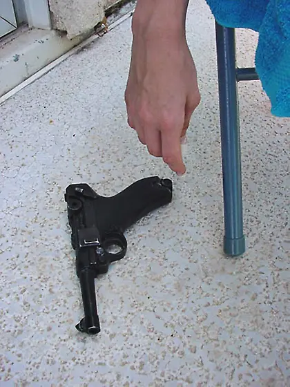 necrobabes - CASE-0B07258 - Ember,  Fiero