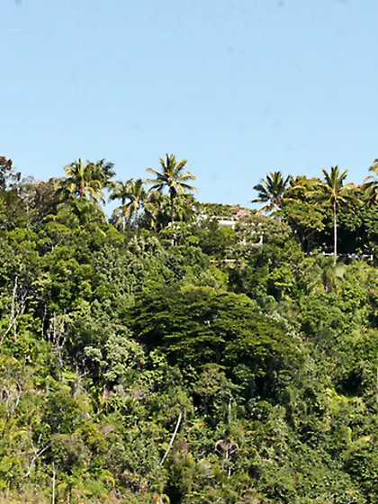 Sex-hungry Alessandra Dias is crazy about getting tan and making