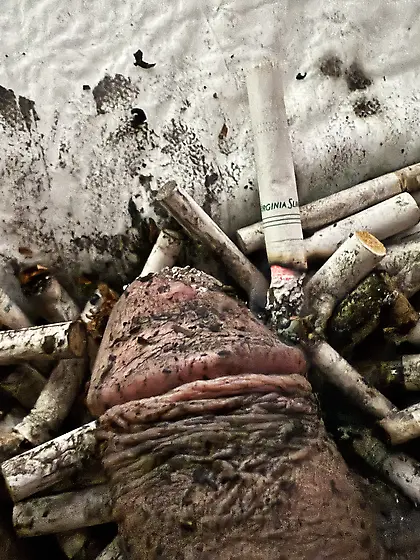 Submissive sissy faggot ashtray and toilet.