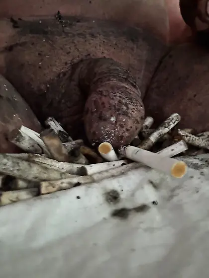 Submissive sissy faggot ashtray and toilet.