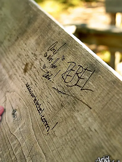 Sweet Ariel Rebel lies down on a lawn,  reads a magazine and open