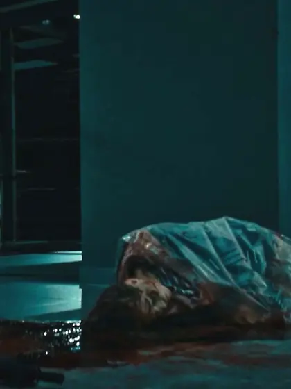 Wake up Charlotte Stoiber (29) Emily Rabbit