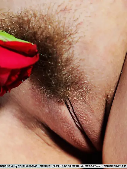 Tags bedroom garter belt