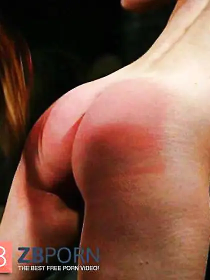 Visitors over the last month