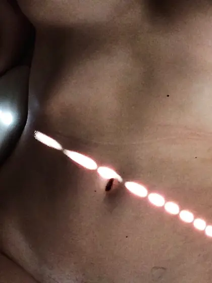 Bisous Chatons / prnada