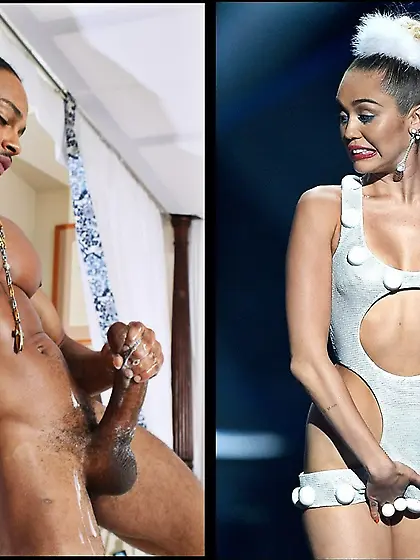 BLACK STALLIONS not only FOR YOU LADYS