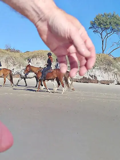 Public erection beach flasher CFNM for horseriders