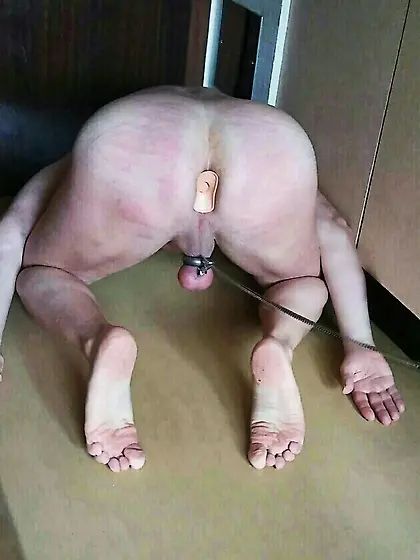 shaved head,  public humiliation,  piss for faggots