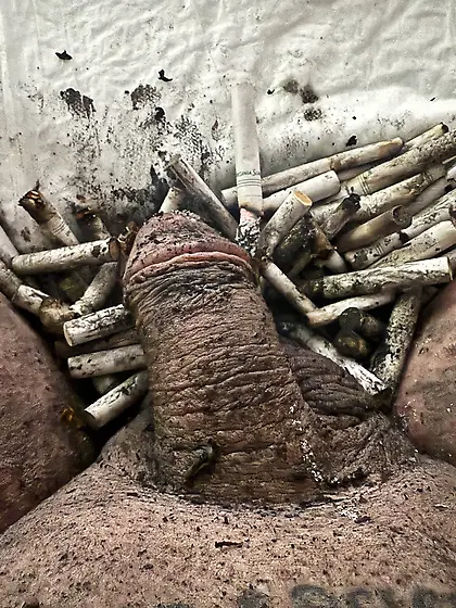 Submissive sissy faggot ashtray and toilet.