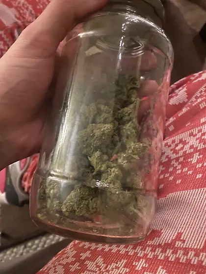 Looking to eat Orlando woman pussy not cock okay