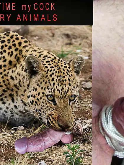 penectomy fantasy my cock