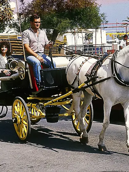 Steaming hot chick takes