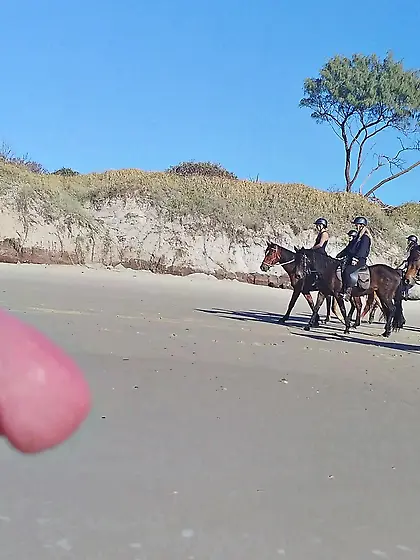 Public erection beach flasher CFNM for horseriders