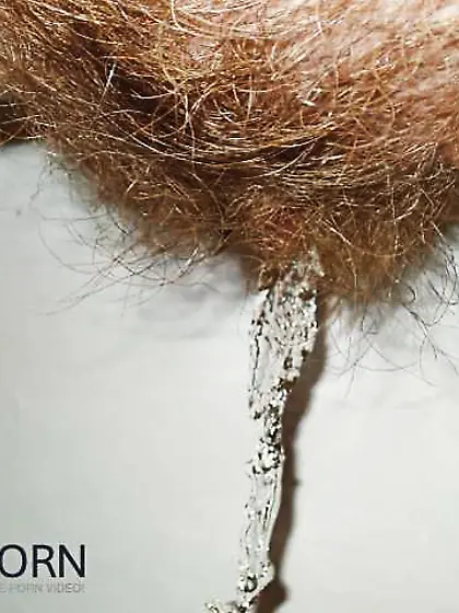 We enjoy fur covered,  you?