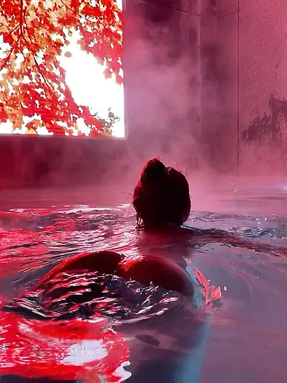 A meal with your view?