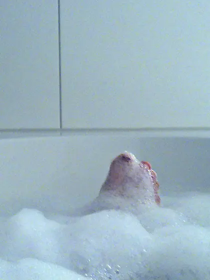 Dutch ex wife girlfriend nude non nude