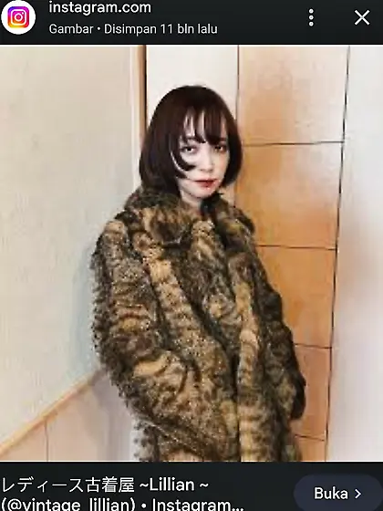 Cat Fur Coats