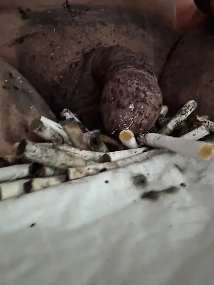 Submissive sissy faggot ashtray and toilet.