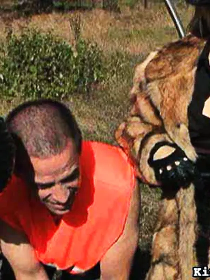 Tied boys spanked nasty