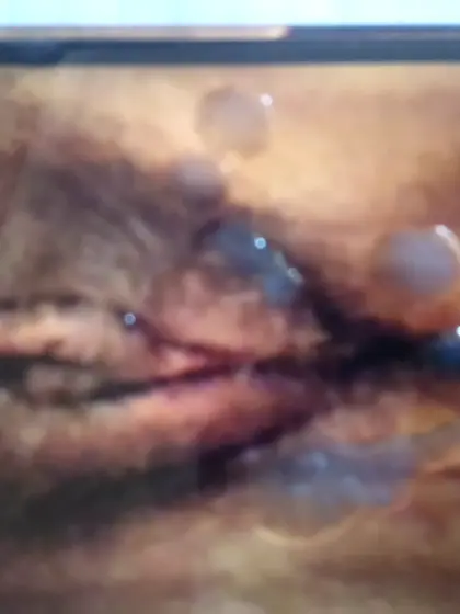 Que alternes su vagina con mi bocaQuiero lamer su