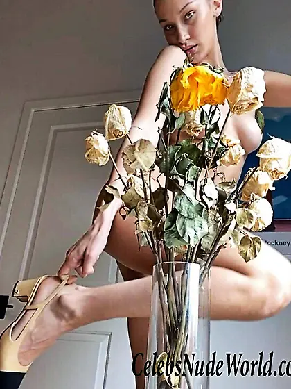 Bella Hadid Naked