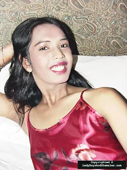 Doggy style sex with an exotic tranny beauty