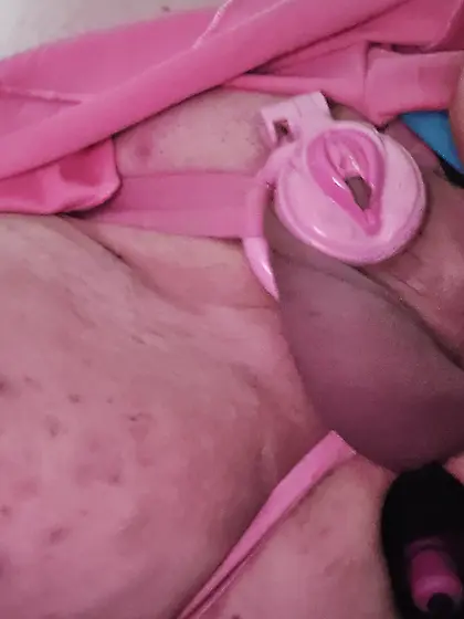 Various cages that were tested