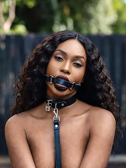 silenced and leashed are the best niggers