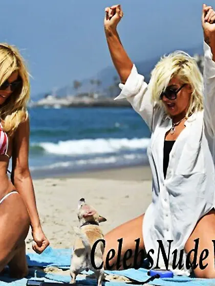 Donna D’Errico Bikini