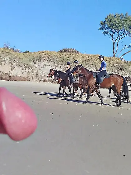 Public erection beach flasher CFNM for horseriders